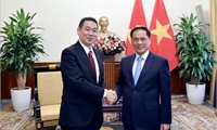 Deputy PM, FM receives Japanese party official