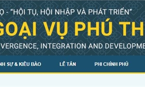 Cơ cấu tổ chức