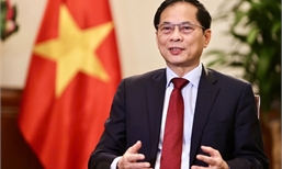 Viet Nam seeks to deepen ties with RoK: Foreign Minister