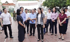 Ban Thường vụ Tỉnh ủy làm việc với xã Vĩnh An về việc vận hành mô hình chính quyền địa phương 2 cấp