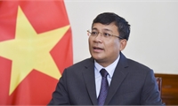 Top Vietnamese leader's upcoming visit to DPRK marks important milestone: Deputy FM