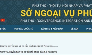 Quyết định số 45/2025/QĐ-UBND Quy định chức năng, nhiệm vụ, quyền hạn và cơ cấu tổ chức của Sở Ngoại vụ