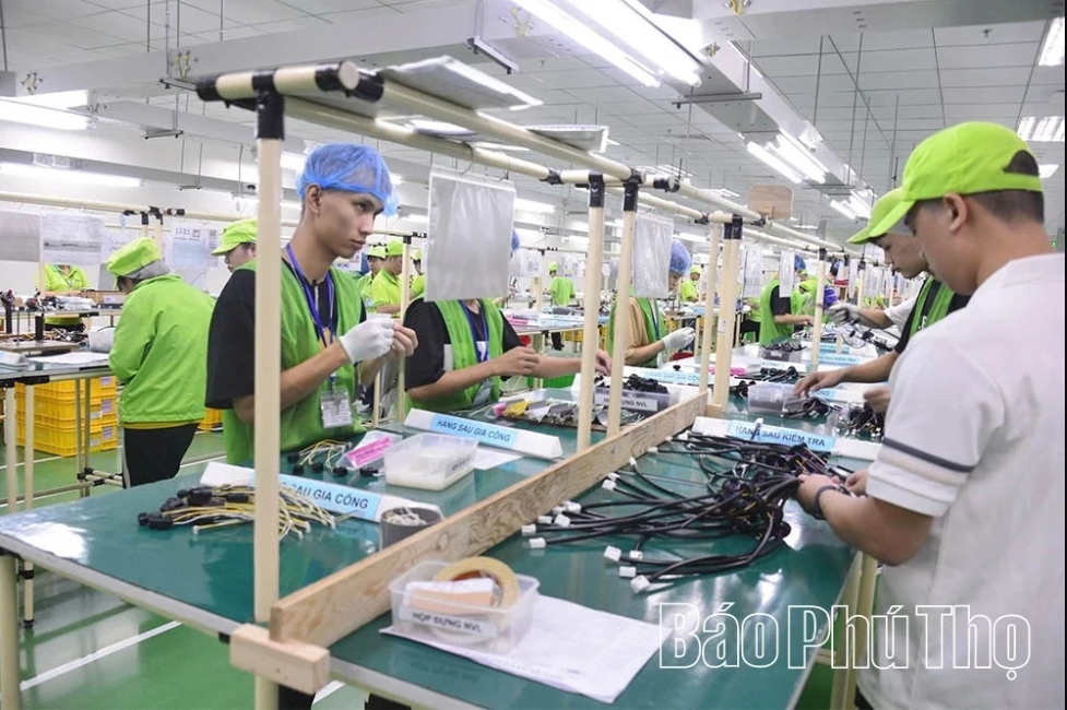 Determined efforts toward the 2025 growth target