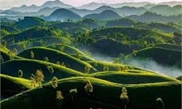 Phú Thọ: tổ chức Cuộc thi trực tuyến tìm hiểu pháp luật “Nâng cao năng lực thực hiện Chương trình mục tiêu quốc gia giảm nghèo bền vững giai đoạn 2021 – 2025”