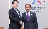 Opening new opportunities for Viet Nam - Brunei cooperation