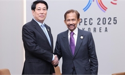 Opening new opportunities for Viet Nam - Brunei cooperation