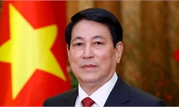 Promoting multilateral cooperation, elevating Viet Nam-ROK relations