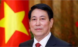 Promoting multilateral cooperation, elevating Viet Nam-ROK relations