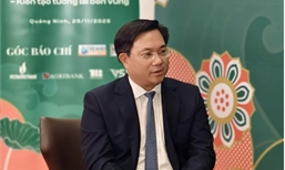 Phú Thọ sau sáp nhập: Định vị cực tăng trưởng mới và chiến lược đón làn sóng vốn Nhật Bản