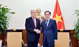 Bộ trưởng Ngoại giao Lê Hoài Trung tiếp Thống đốc tỉnh Tochigi (Nhật Bản)