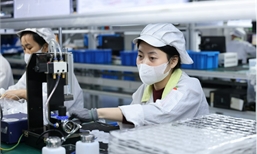 Phú Thọ nâng cao năng lực cạnh tranh từ cải thiện môi trường đầu tư