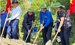 Đẩy mạnh tuyên truyền thực hiện Kết luận số 219-KL/TW của Bộ Chính trị và Kết luận số 213-KL/TW của Ban Bí thư