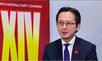 14th Party Congress identifies multilateral diplomacy as strategic direction for Viet Nam's diplomacy: Ambassador