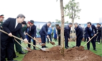 Tổng Bí thư Tô Lâm dự Lễ phát động “Tết trồng cây đời đời nhớ ơn Bác Hồ”