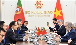 Vietnamese, Portuguese foreign ministers hold talks in Ha Noi