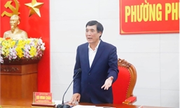 Đoàn ĐBQH tỉnh giám sát công tác triển khai bầu cử ĐBQH khóa XVI và đại biểu HĐND các cấp tại Ủy ban Bầu cử một số xã, phường