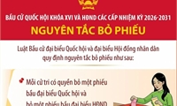 Bầu cử Quốc hội và Hội đồng nhân dân: Nguyên tắc bỏ phiếu
