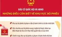 Bầu cử Quốc hội và Hội đồng Nhân dân: Những điều cần biết về Khu vực bỏ phiếu