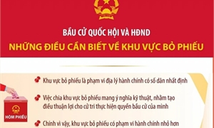 Bầu cử Quốc hội và Hội đồng Nhân dân: Những điều cần biết về Khu vực bỏ phiếu