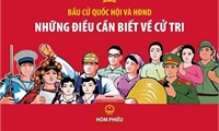 Bầu cử Quốc hội và Hội đồng Nhân dân: Những điều cần biết về cử tri