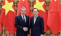 Vietnamese, Chinese FMs agree to make new breakthroughs in substantive cooperation
