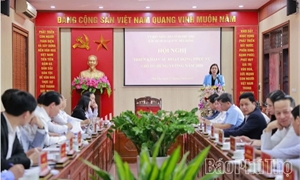 Phó Chủ tịch UBND tỉnh Phùng Thị Kim Nga nghe báo cáo triển khai các hoạt động phục vụ Giỗ Tổ Hùng Vương năm 2026