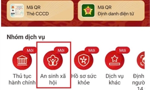 Hướng dẫn tích hợp tài khoản An sinh xã hội trên VNeID