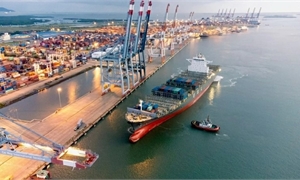 Việt Nam – tâm điểm trước làn sóng tái cấu trúc chuỗi cung ứng châu Á