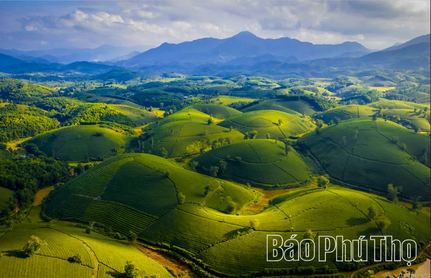 Green growth: The foundation for sustainable development