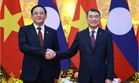 Viet Nam, Laos enhance cooperation in foreign affairs