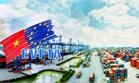 6 năm thực thi EVFTA: Biến chuyển những thiện chí chính trị thành hội nhập thương mại giá trị cao