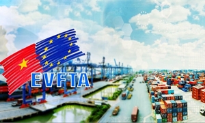 6 năm thực thi EVFTA: Biến chuyển những thiện chí chính trị thành hội nhập thương mại giá trị cao