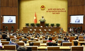 Đề cương tuyên truyền kết quả Kỳ họp không thường lệ thứ Nhất, Quốc hội khóa XVI