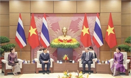 Tăng cường thúc đẩy tình hữu nghị giữa Việt Nam và Thái Lan