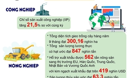 Phú Thọ kiên trì mục tiêu tăng trưởng hai con số