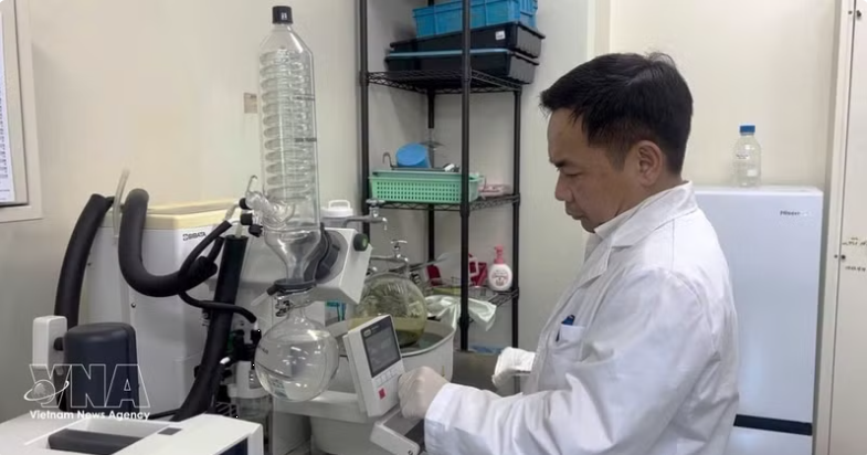 Vietnamese scientist in Japan advances research, training, technology transfer for homeland